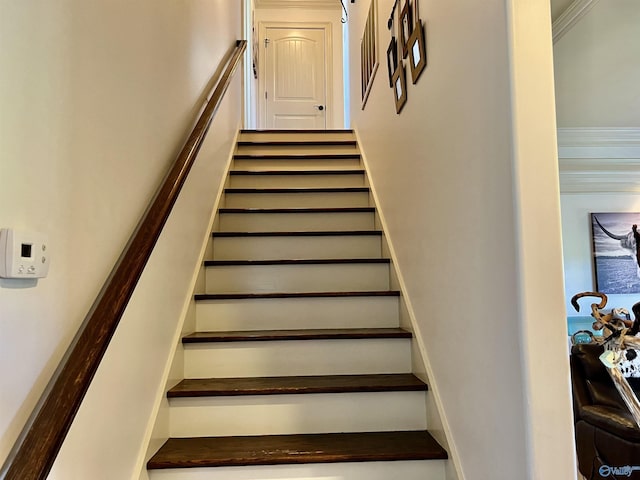 94 Owensby Way, Trinity, AL 35673 - view of stairs