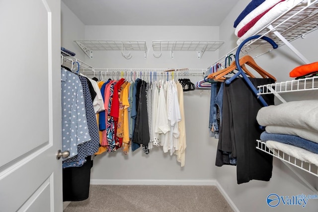 spacious closet with carpet flooring