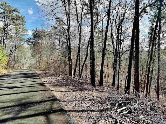 0.40 8th St NW, Fort Payne AL, 35967 land for sale