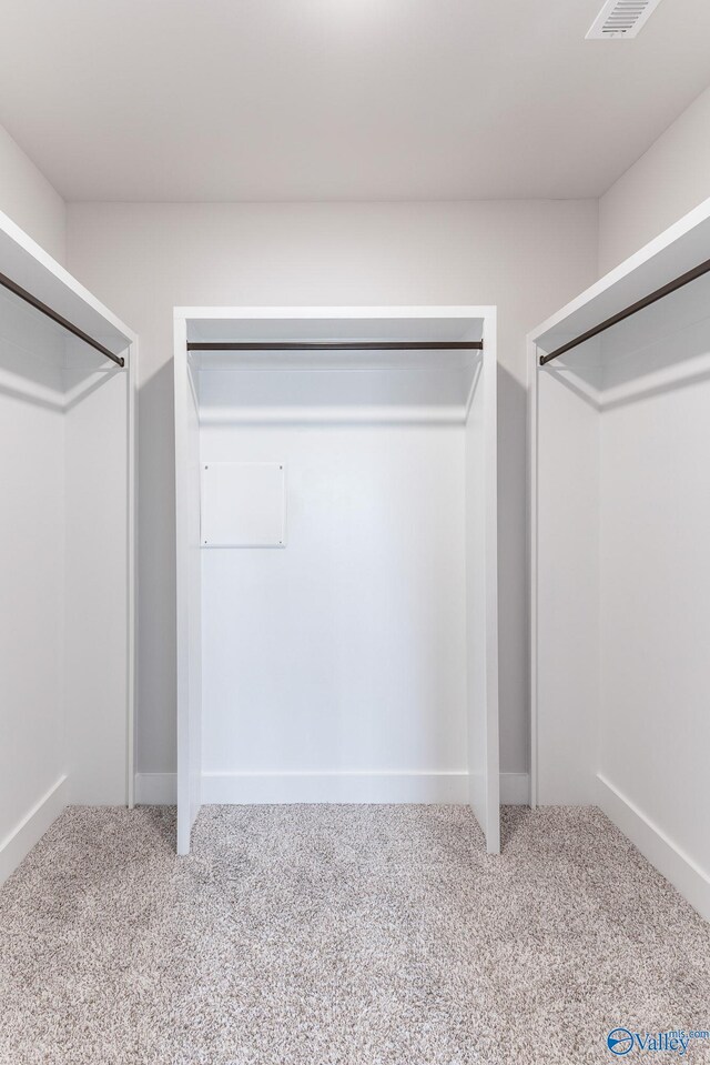 walk in closet with carpet floors