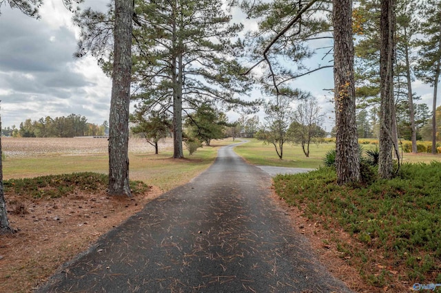 view of road