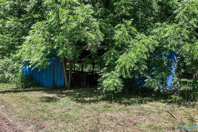 3621 Al Highway 36, Moulton, AL 35650 - view of yard