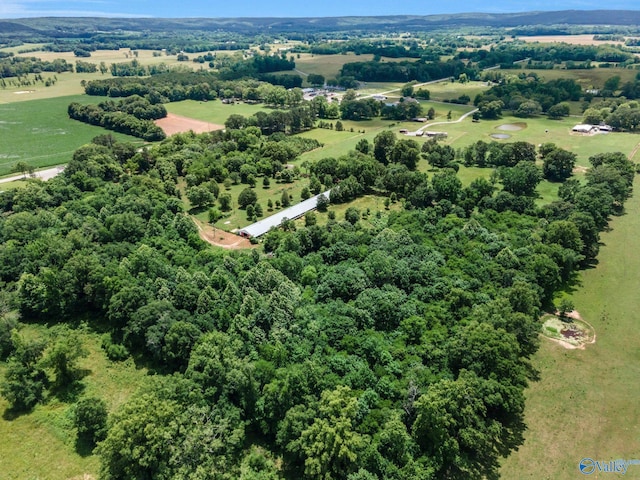 3621 Al Highway 36, Moulton, AL 35650 - view of rural area