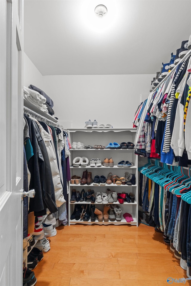 walk in closet with hardwood / wood-style flooring