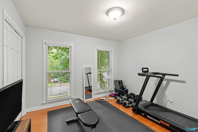 workout room featuring light hardwood / wood-style floors and a healthy amount of sunlight