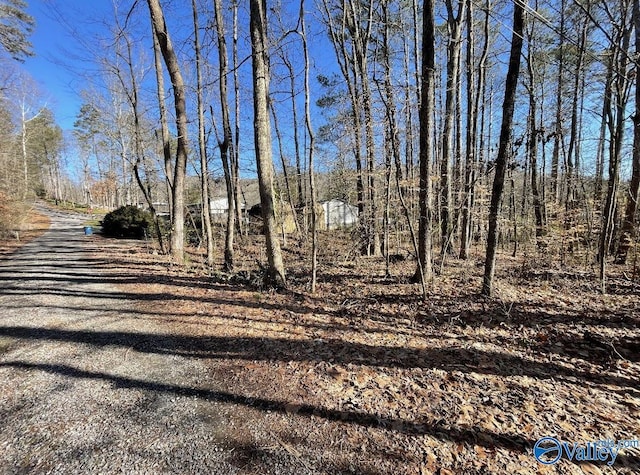 Listing photo 3 for LOT3 Kristi Ln, Grant AL 35747