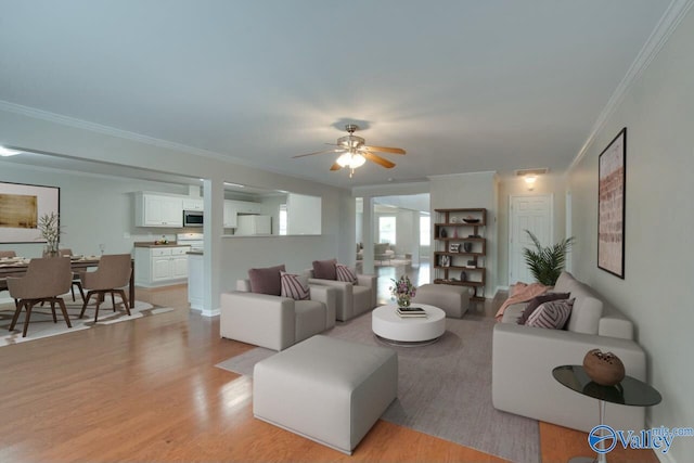 living room with ceiling fan, ornamental molding, and light wood-type flooring