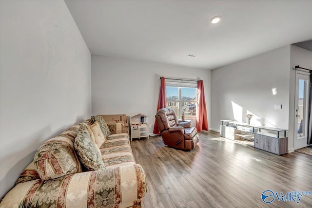 living room with hardwood / wood-style flooring