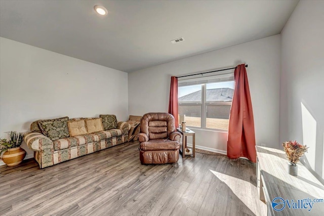 living room featuring hardwood / wood-style floors