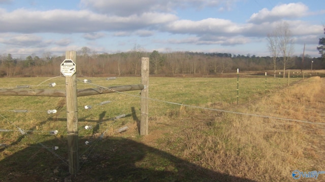 view of yard featuring a rural view