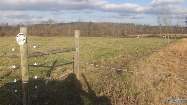 view of yard featuring a rural view