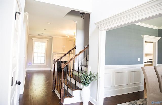 interior space featuring dark wood-type flooring and ornamental molding