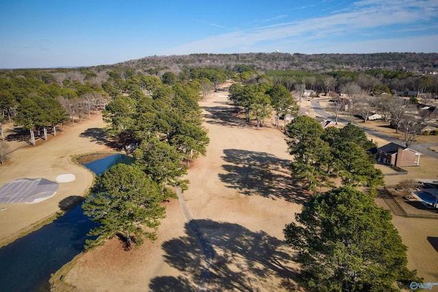 drone / aerial view