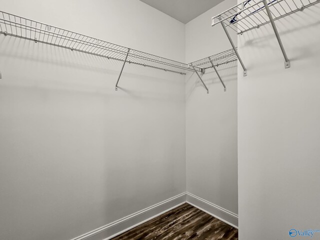 walk in closet featuring dark wood finished floors