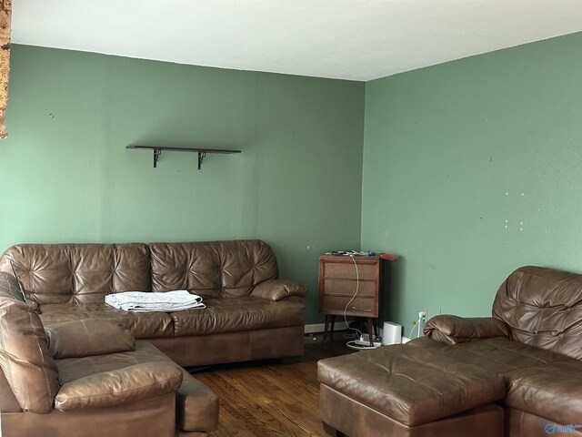 living area featuring wood finished floors