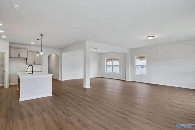 unfurnished living room with dark hardwood / wood-style flooring and sink