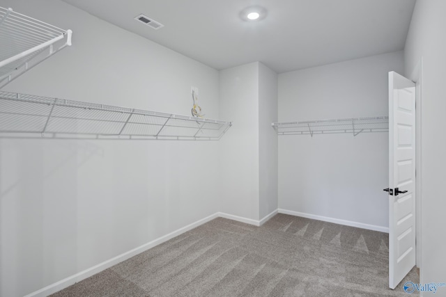 walk in closet with carpet floors