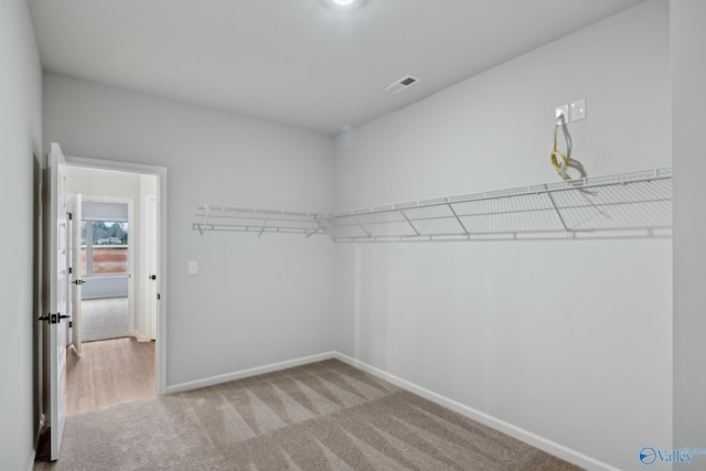 walk in closet with light carpet