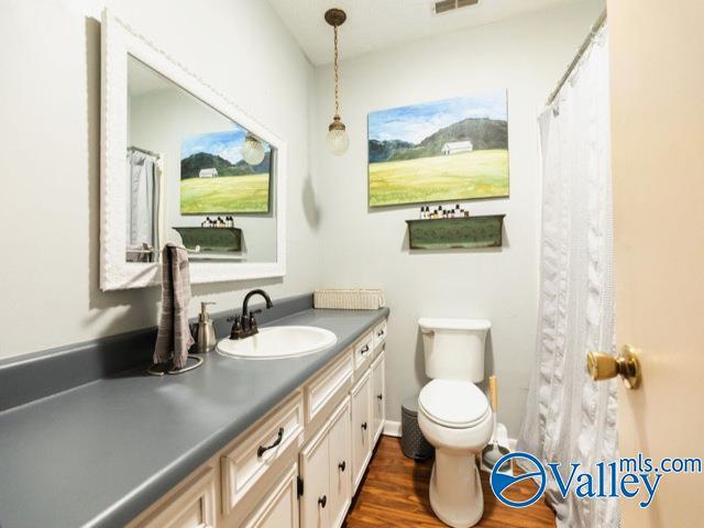 bathroom featuring wood-type flooring, vanity, and toilet