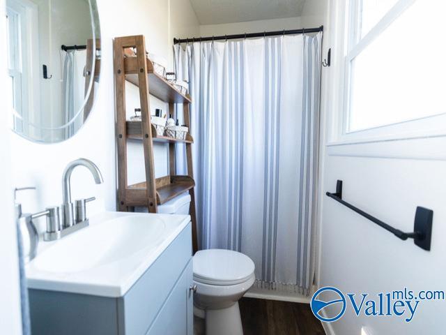 bathroom featuring vanity, toilet, and wood-type flooring