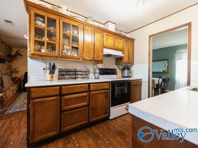 kitchen with dark hardwood / wood-style flooring, white range with electric cooktop, and backsplash