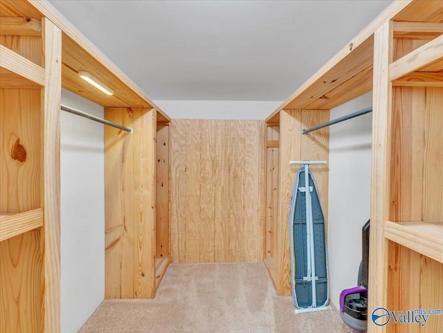 1228 Matt Morrow Rd, Arab, AL 35016 - spacious closet featuring carpet