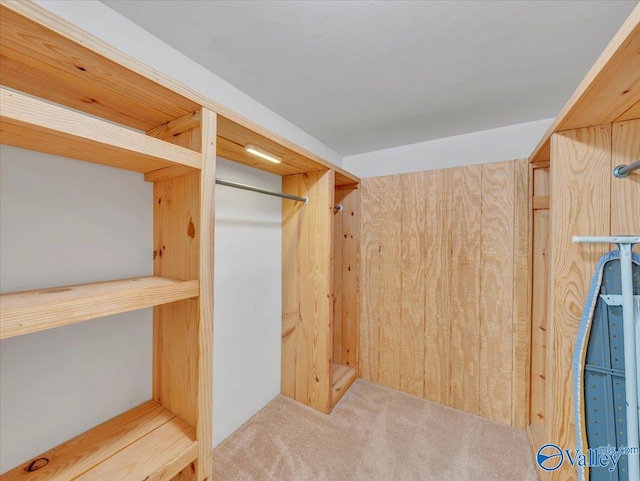 1228 Matt Morrow Rd, Arab, AL 35016 - spacious closet featuring carpet