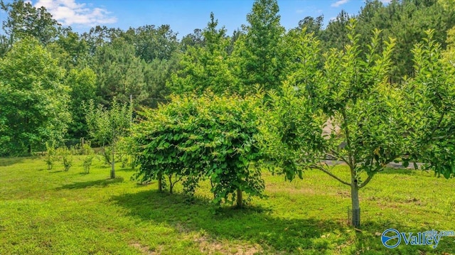 1228 Matt Morrow Rd, Arab, AL 35016 - view of local wilderness
