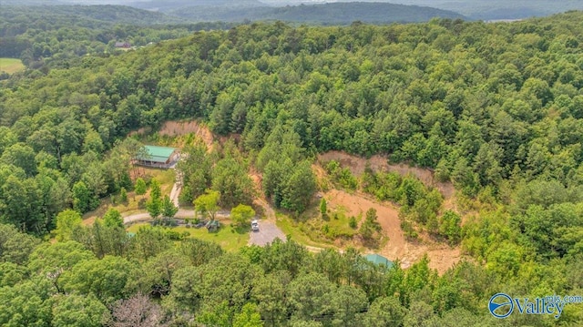 1228 Matt Morrow Rd, Arab, AL 35016 - aerial view of a forest