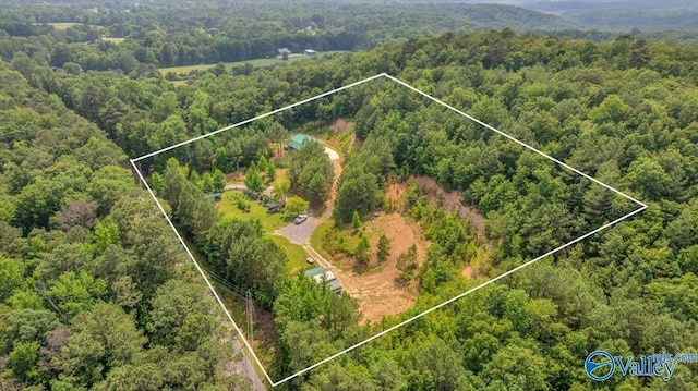1228 Matt Morrow Rd, Arab, AL 35016 - aerial view of property's location featuring a heavily wooded area and property parcel outlined
