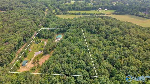 1228 Matt Morrow Rd, Arab, AL 35016 - aerial view of property and surrounding area featuring property parcel outlined