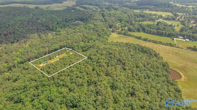 1228 Matt Morrow Rd, Arab, AL 35016 - aerial overview of property's location featuring a heavily wooded area and property boundaries highlighted