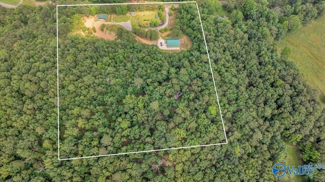 1228 Matt Morrow Rd, Arab, AL 35016 - view of property location featuring property parcel outlined