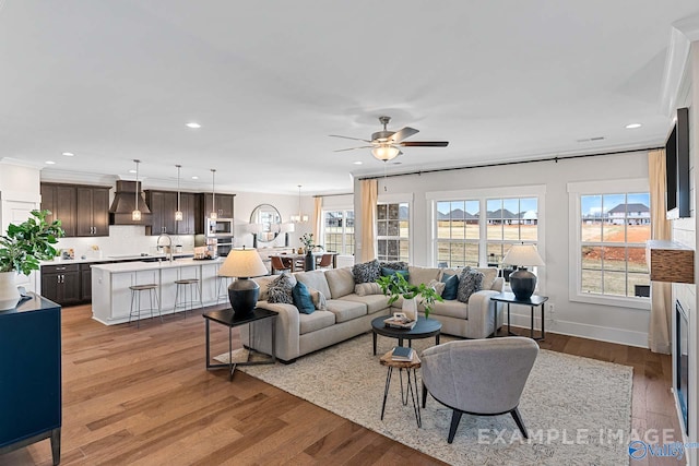 living room featuring ceiling fan and light hardwood / wood-style flooring