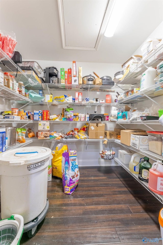 4198 Pilgrims Rest Rd, Southside, AL 35907 - view of pantry