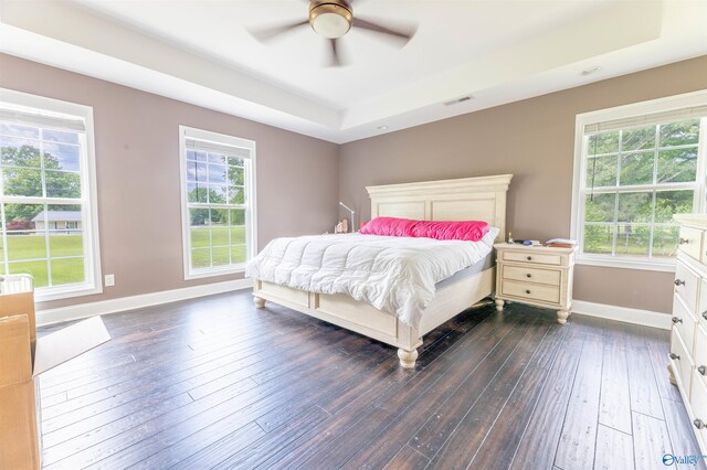 4198 Pilgrims Rest Rd, Southside, AL 35907 - bedroom featuring a tray ceiling, baseboards, dark wood-style floors, and a ceiling fan