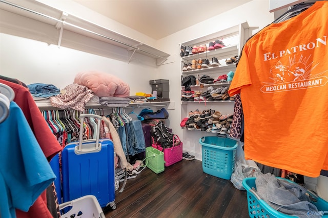 4198 Pilgrims Rest Rd, Southside, AL 35907 - walk in closet featuring wood finished floors