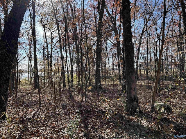 Listing photo 2 for LOT13-A County Road 671, Cedar Bluff AL 35959