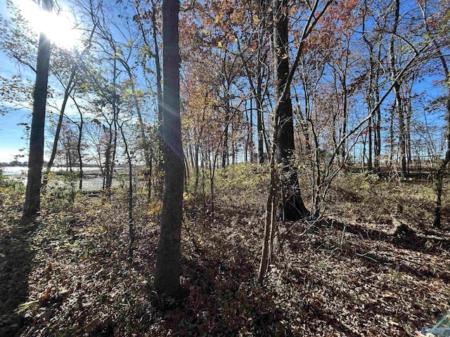 Listing photo 3 for LOT13-A County Road 671, Cedar Bluff AL 35959