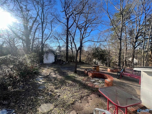 view of yard with a patio area and a storage shed