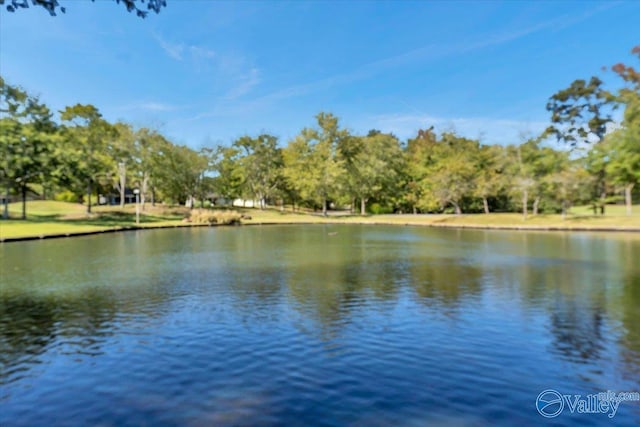 view of water feature