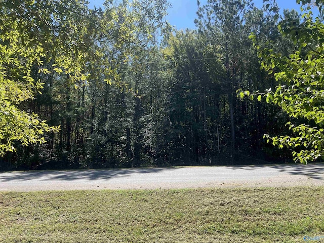 TRACTS1 Summer Breeze Dr, Cedar Bluff, AL 35959