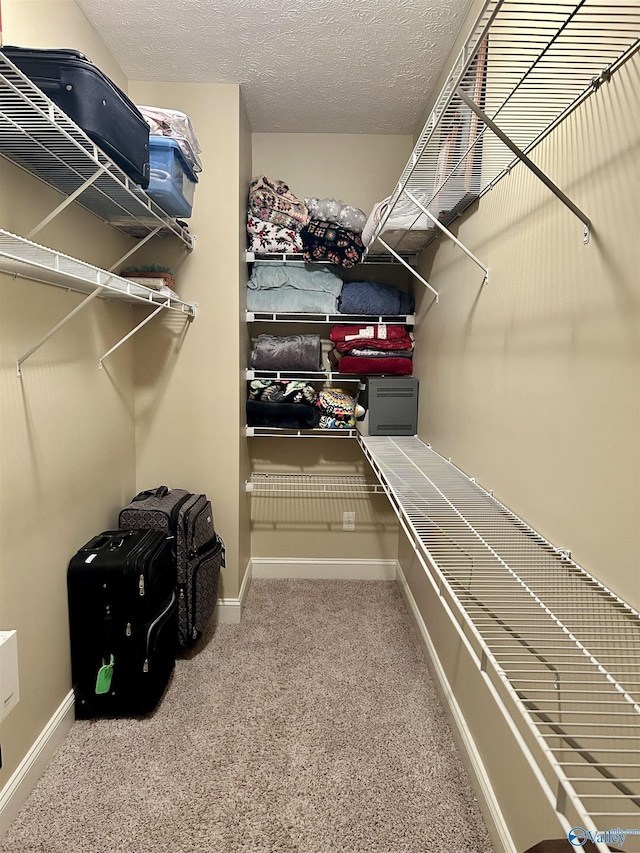 walk in closet featuring carpet