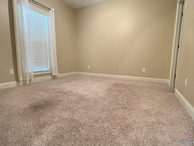 spare room with carpet floors