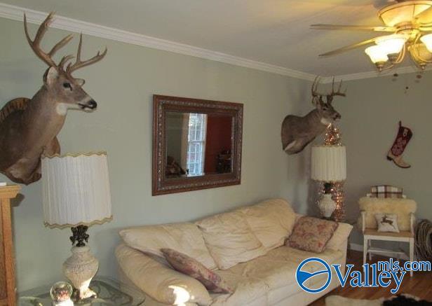 living room with crown molding and ceiling fan