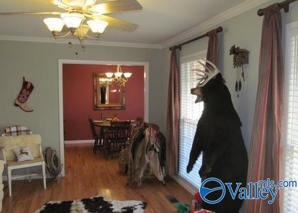 dining room featuring crown molding, wood-type flooring, and ceiling fan with notable chandelier