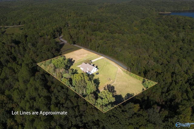 aerial view with a forest view