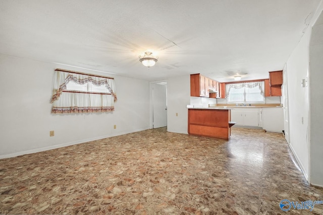 kitchen with sink and kitchen peninsula