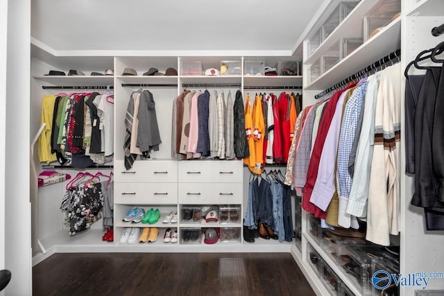 walk in closet featuring hardwood / wood-style floors