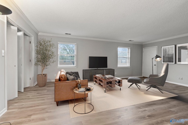 1201 Bailey Cove Cir SE # D, Huntsville, AL 35802 - living area featuring light wood-style flooring, ornamental molding, a textured ceiling, and baseboards